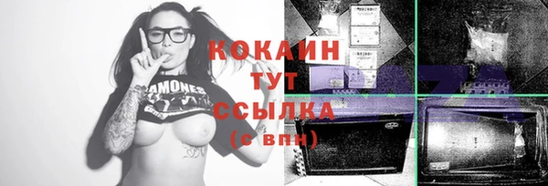 индика Алексеевка