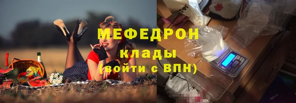 индика Алексеевка