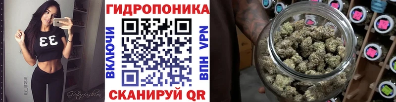 Купить где  Кушва  Бошки марихуана конопля 